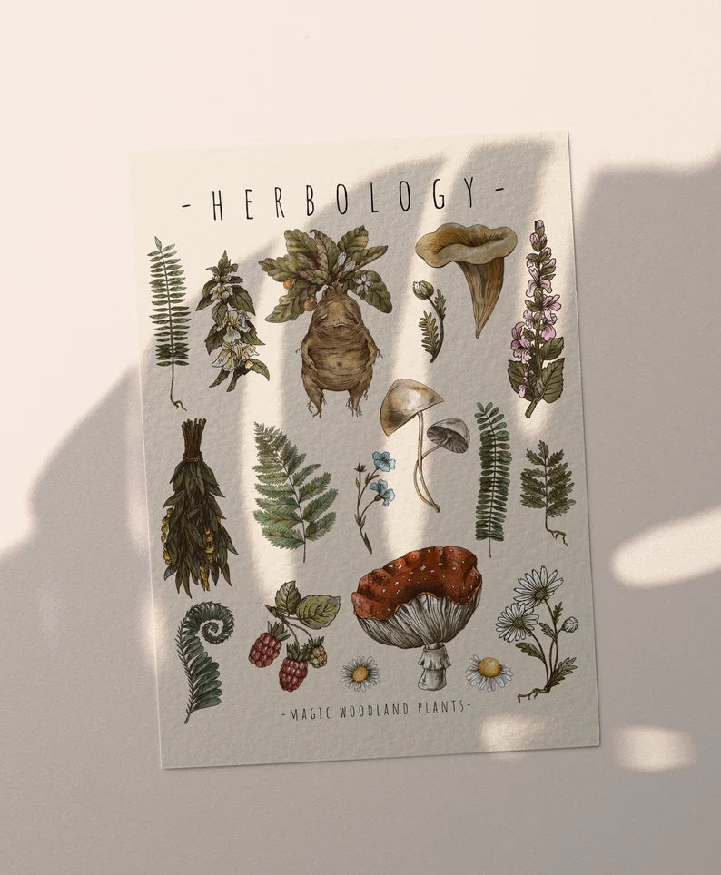 Herbology shirt